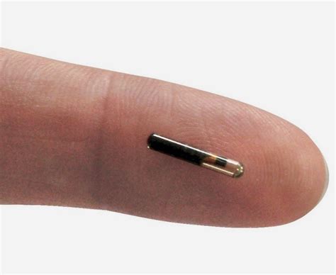 which of these could be done using rfid chips|rfid chips in humans.